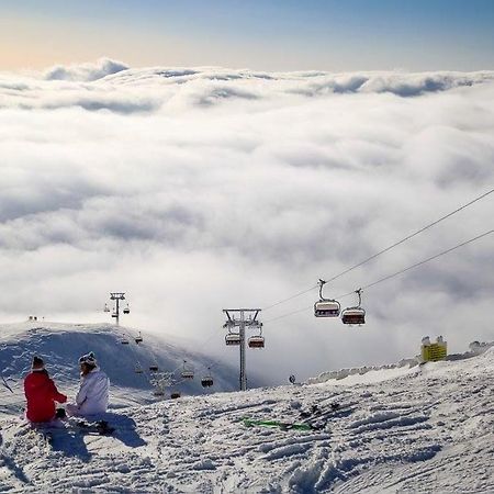Mountain View Nest Διαμέρισμα Σινάια Εξωτερικό φωτογραφία
