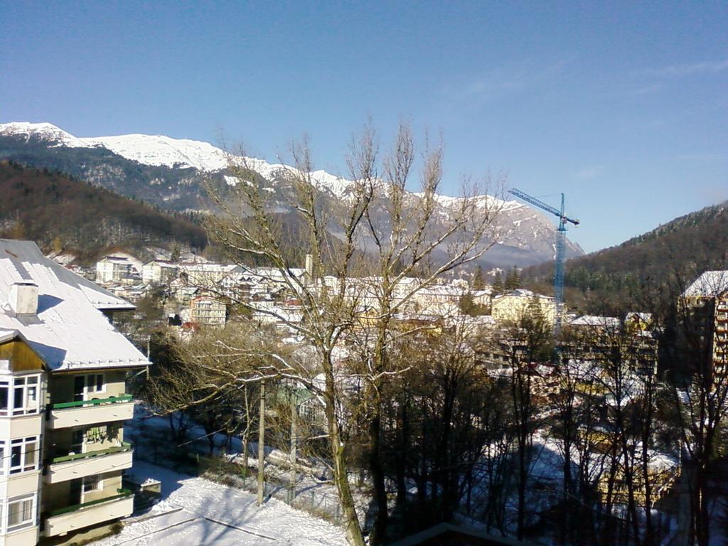 Mountain View Nest Διαμέρισμα Σινάια Εξωτερικό φωτογραφία